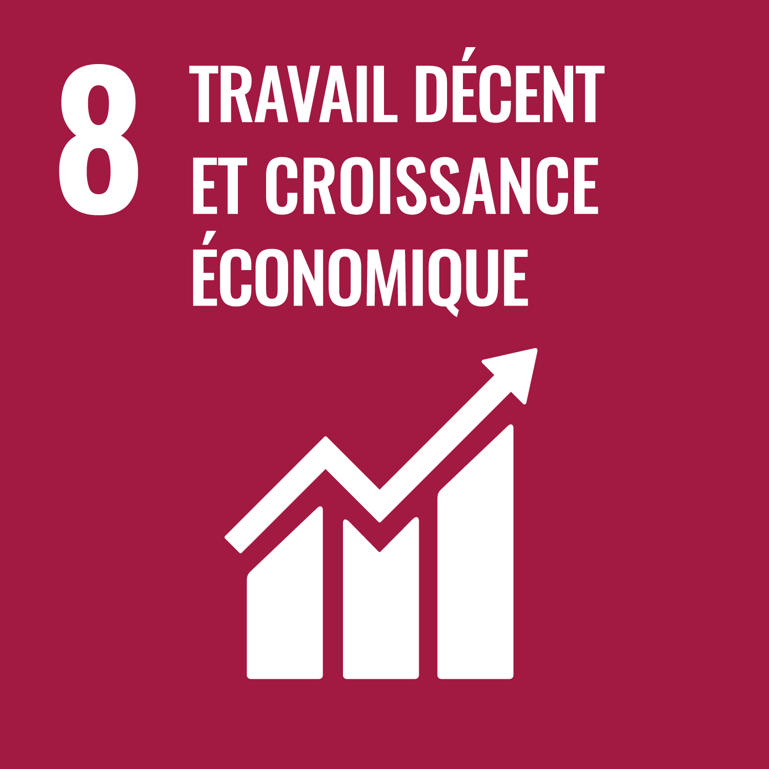 ODD 8: Travail décent et croissance