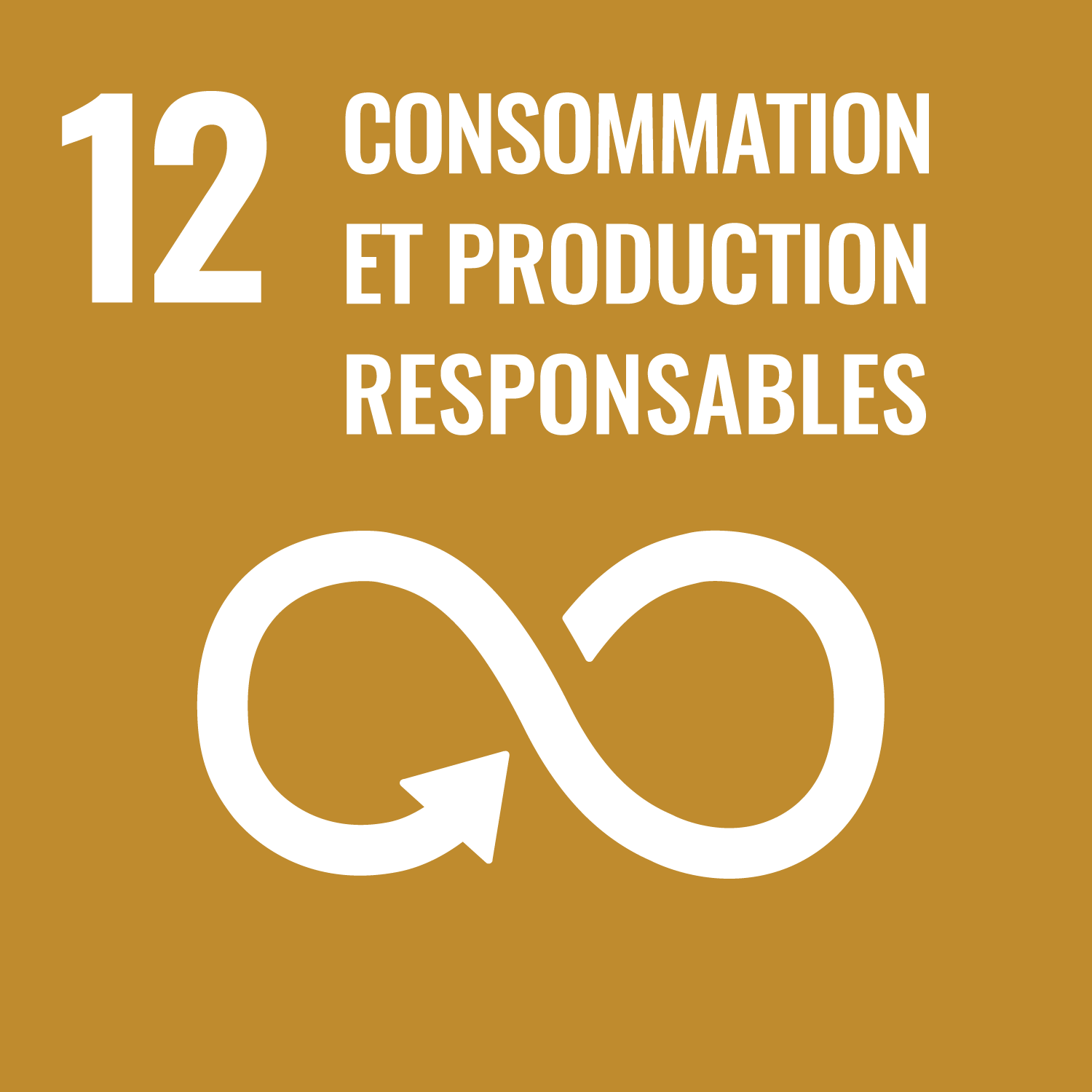 ODD 12: Production et consommation responsables